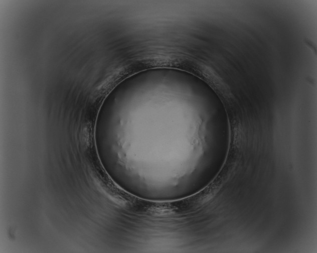 X0000101420165200807141202