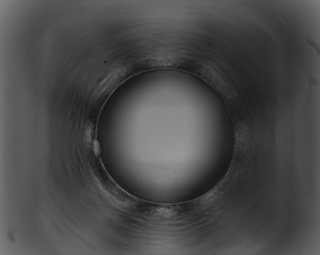 X0000101420166200807141202