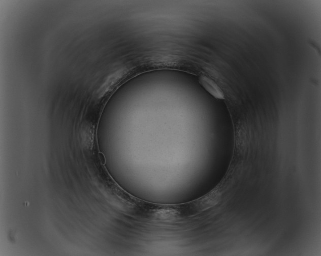 X0000101420168200807141202