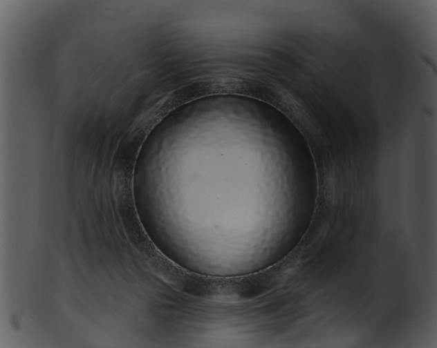 X0000101420169200807141202