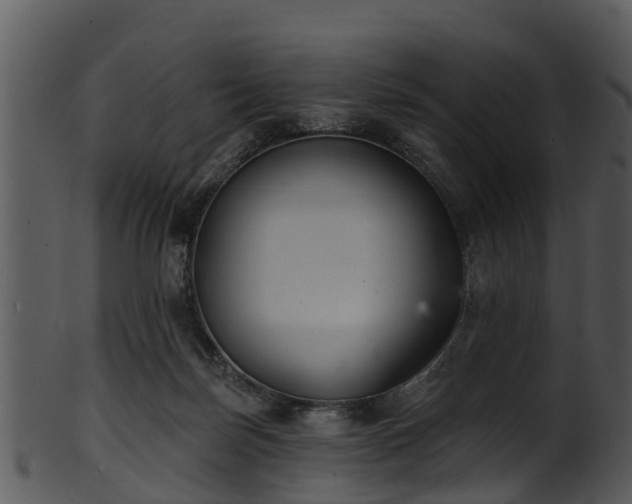 X0000101420171200807141202