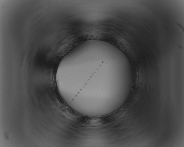 X0000101420173200807141202