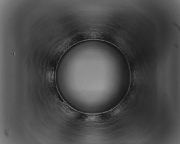 X0000101420177200807141202