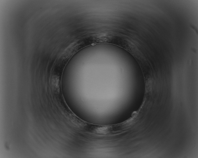 X0000101420178200807141202