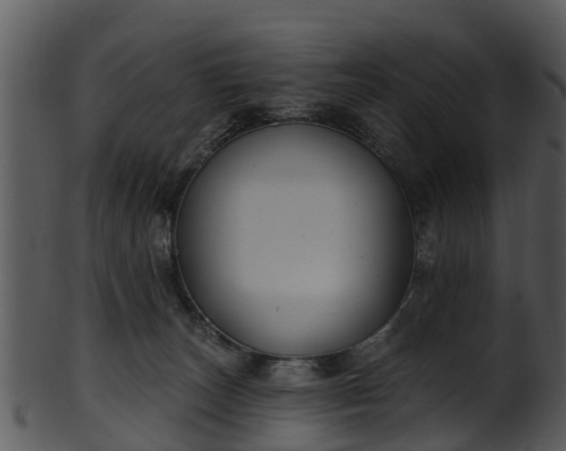X0000101420179200807141202