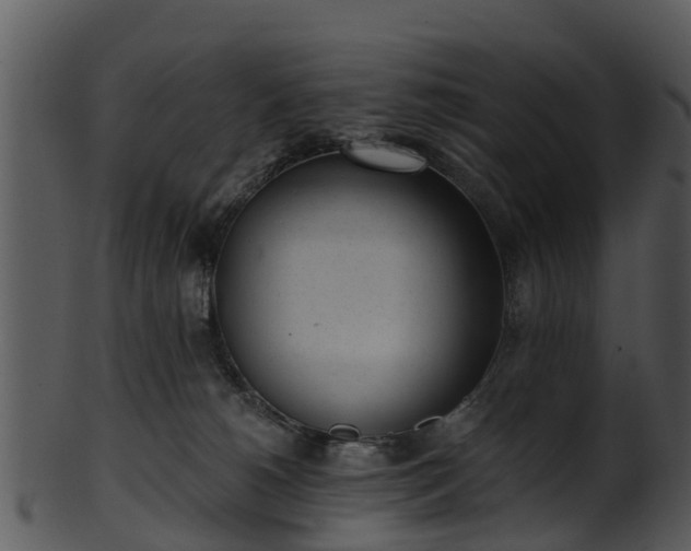 X0000101420180200807141202