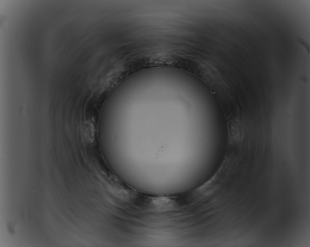 X0000101420183200807141202