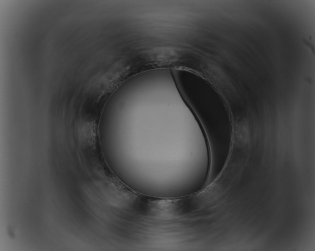 X0000101420184200807141202