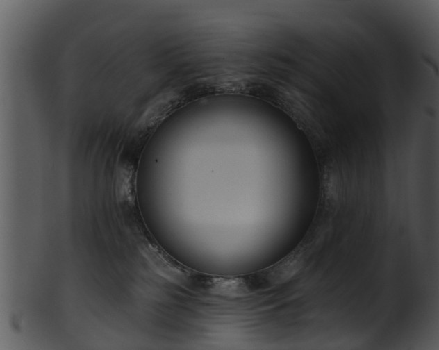 X0000101420185200807141202