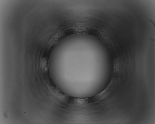 X0000101420187200807141202
