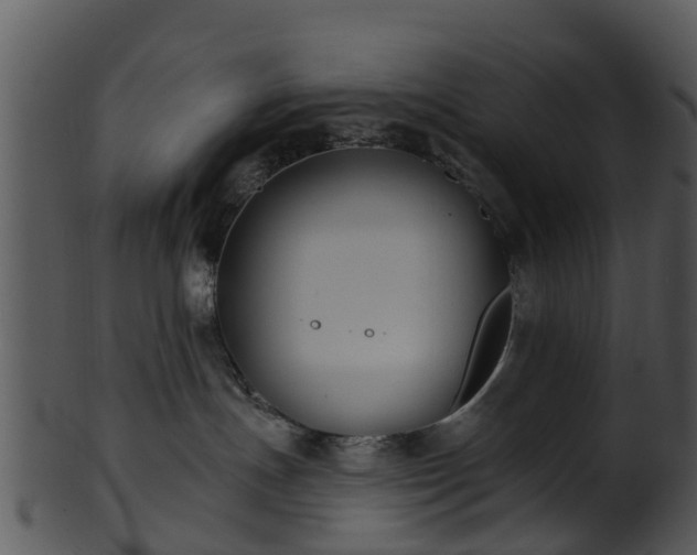 X0000101420191200807141202