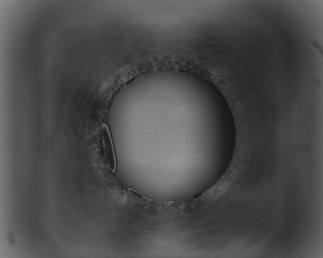 X0000101420192200807141203