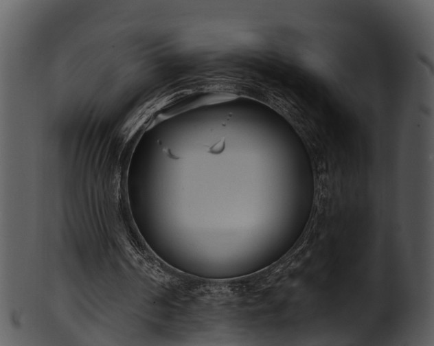 X0000101420194200807141202