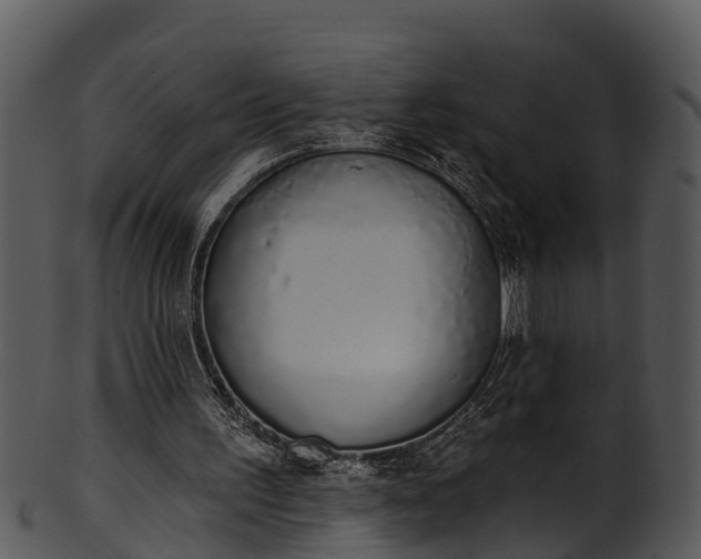 X0000101420195200807141202