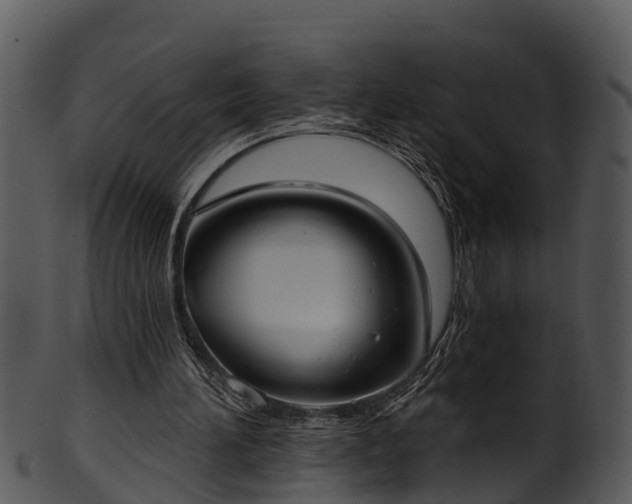 X0000101420196200807141202