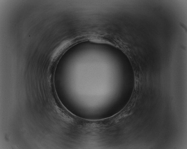 X0000101420197200807141202