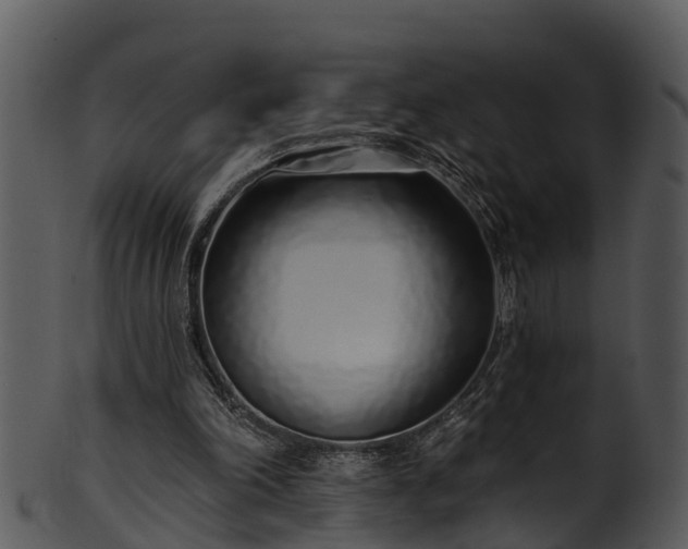 X0000101420198200807141202
