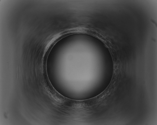X0000101420200200807141202