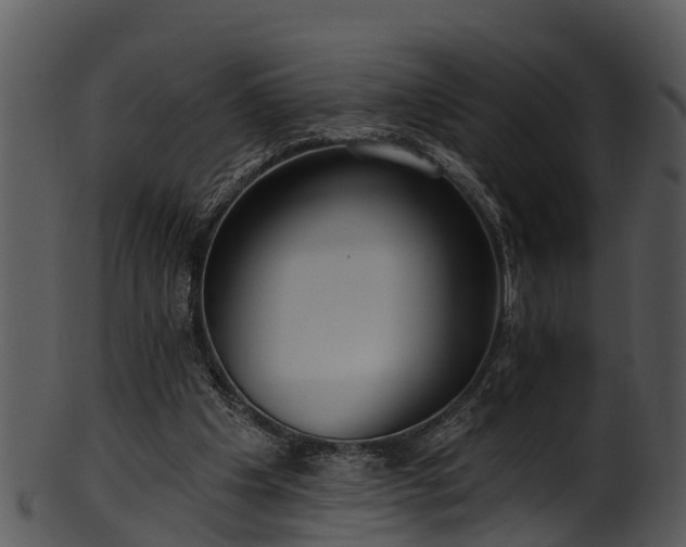 X0000101420201200807141202