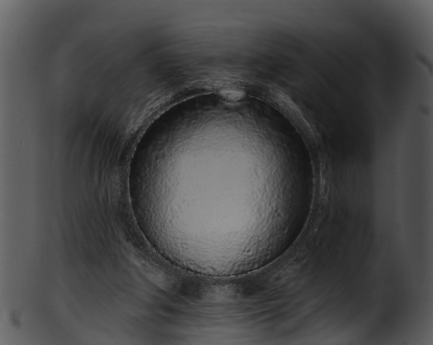 X0000101420202200807141202