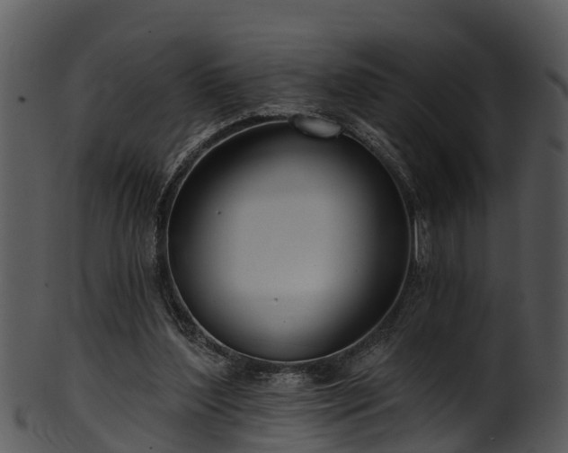 X0000101420204200807141202