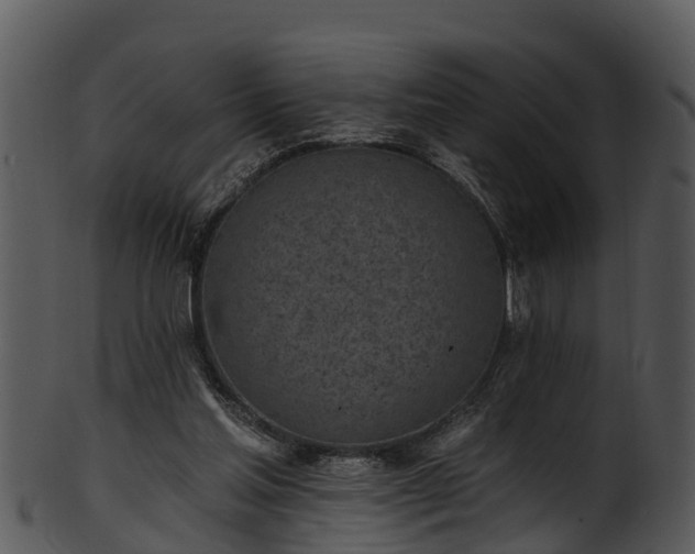 X0000101420205200807141202