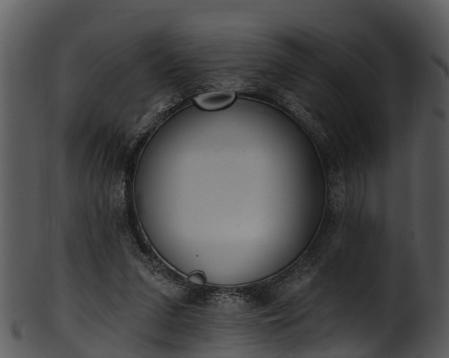 X0000101420207200807141202