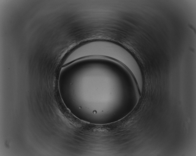 X0000101420208200807141202