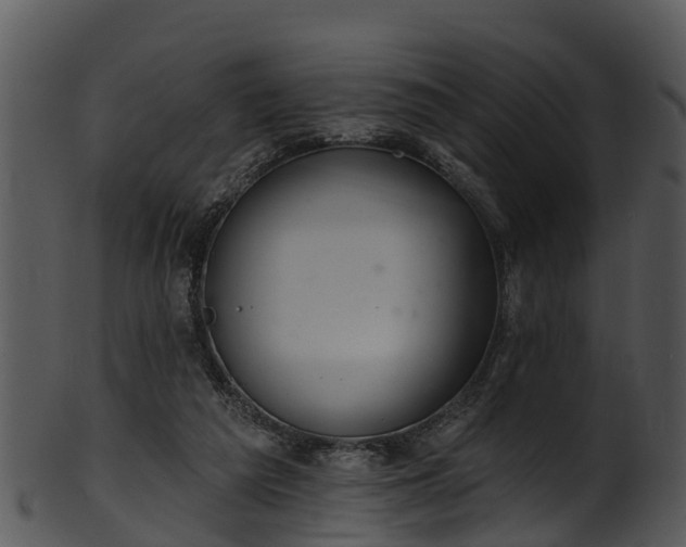X0000101420209200807141202