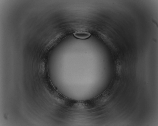 X0000101420211200807141202