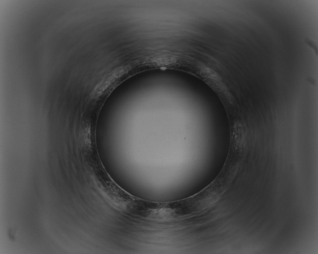 X0000101420212200807141202
