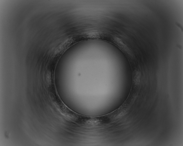 X0000101420213200807141202