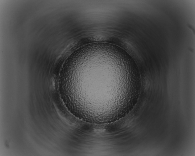 X0000101420214200807141202