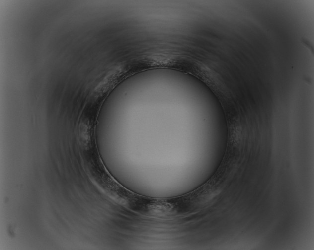 X0000101420215200807141202