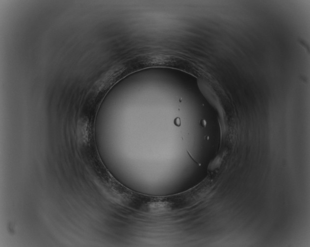X0000101420216200807141202