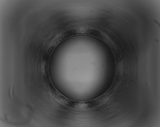 X0000101420217200807141201