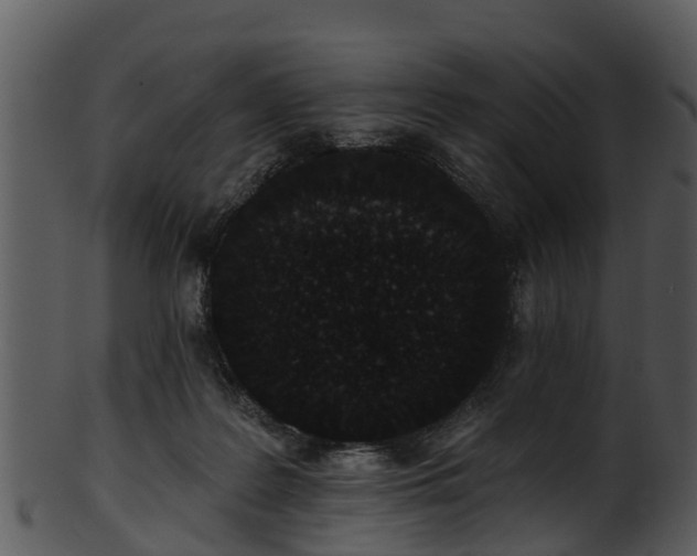 X0000101420219200807141201