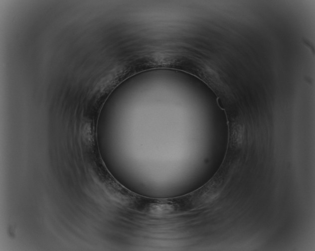 X0000101420220200807141201