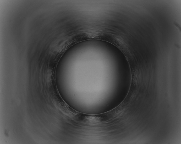 X0000101420221200807141201