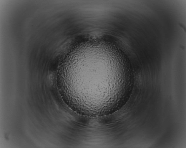 X0000101420222200807141201