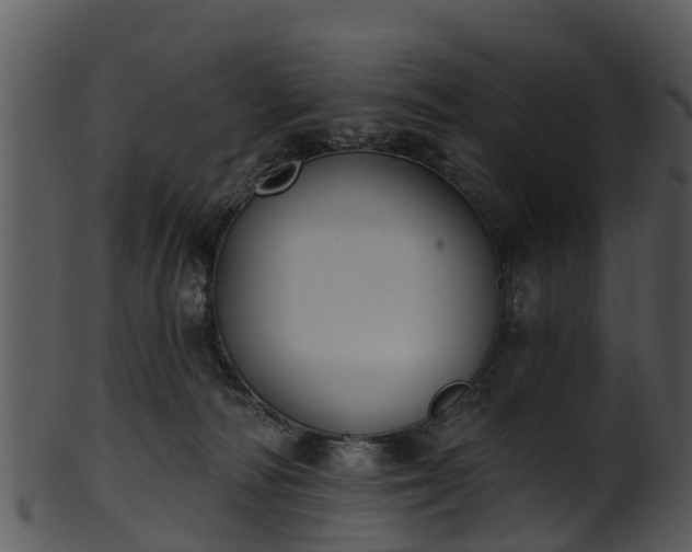 X0000101420226200807141201
