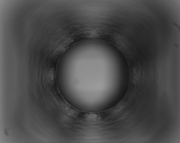 X0000101420230200807141201