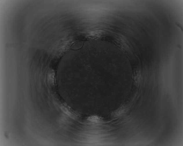X0000101420231200807141201