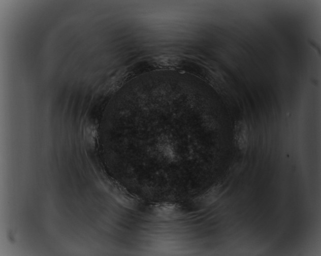 X0000101420235200807141201