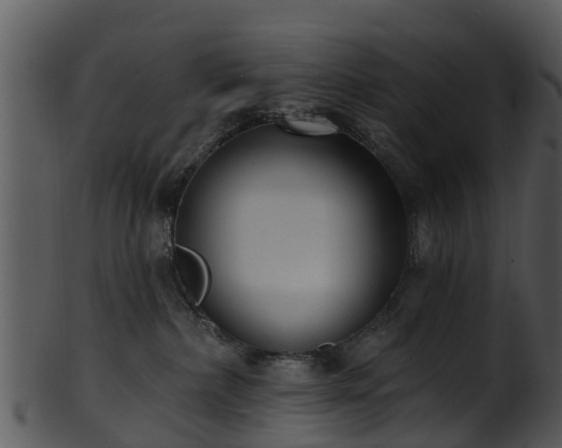 X0000101420236200807141201
