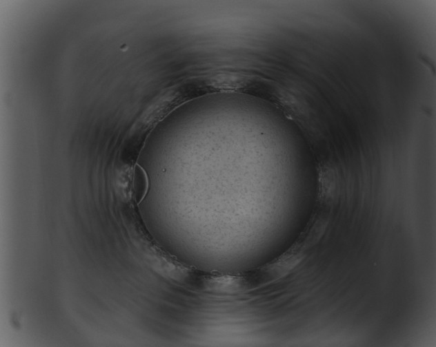 X0000101420237200807141201