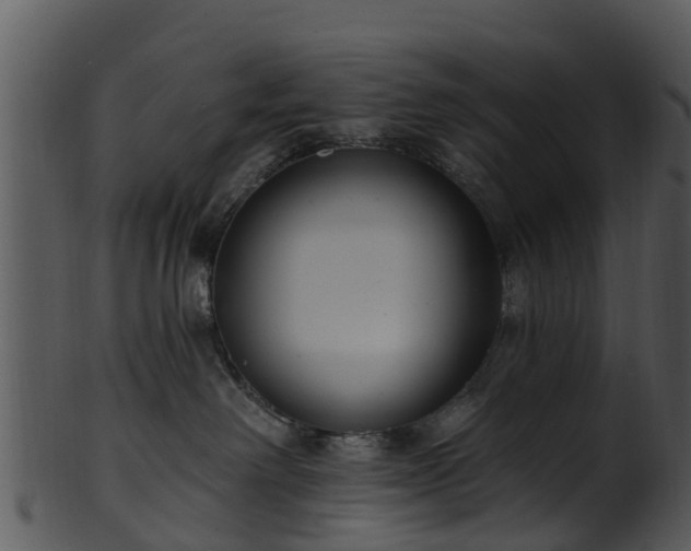 X0000101420238200807141201