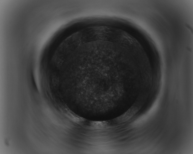 X0000101420239200807141201