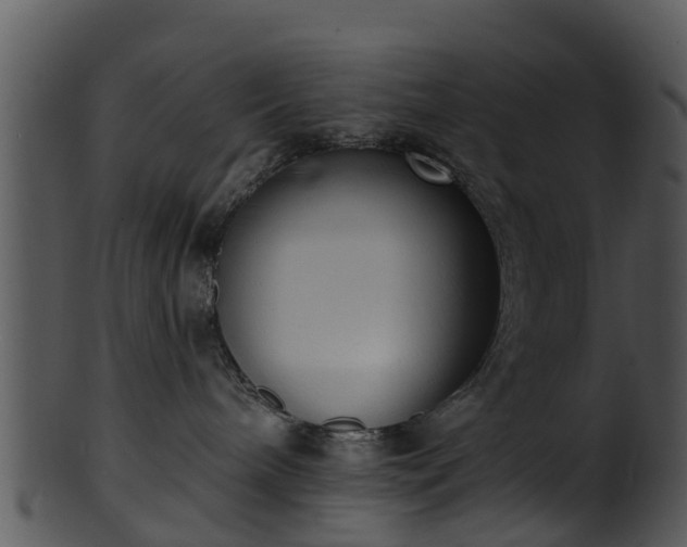 X0000101420240200807141201