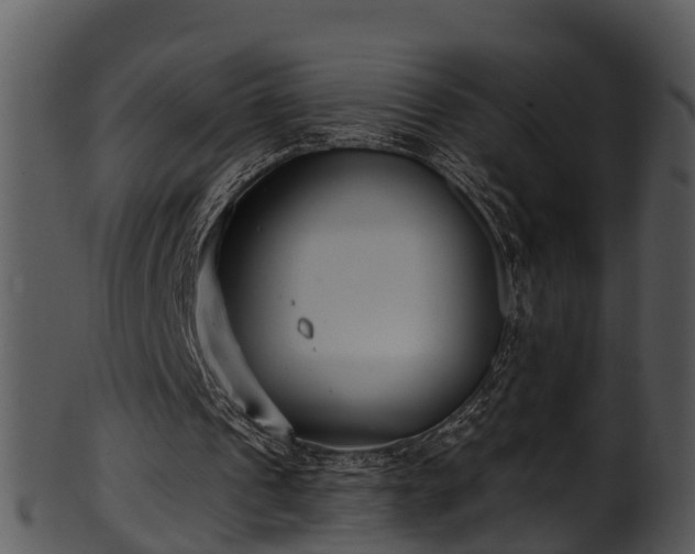 X0000101420241200807141200